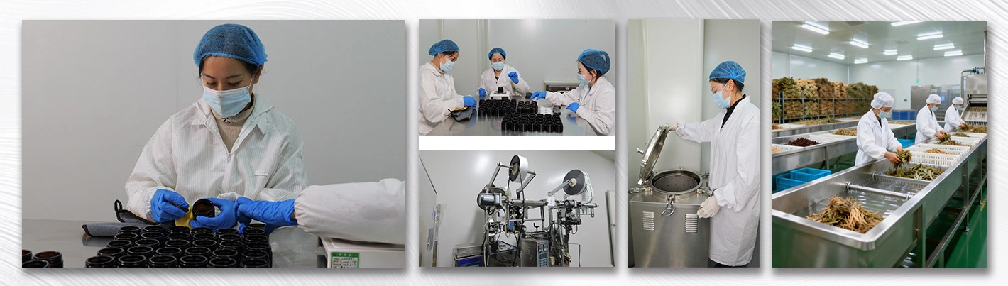 Indian herbal extracts Why Choose Us Indian herbal extracts Why Choose Us