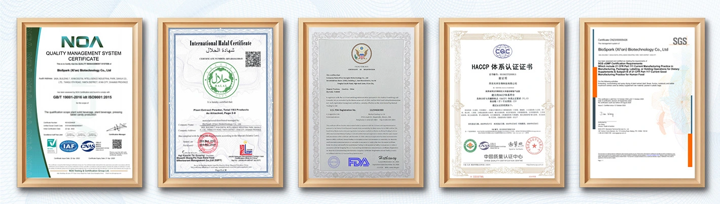 Indian herbal extracts Certificates Indian herbal extracts Certificates